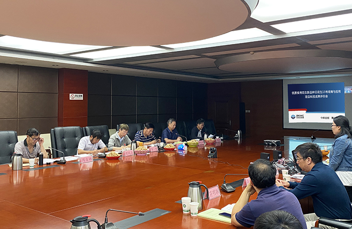 优质食用花生新品种云花生15号培育与应用 anli.jpg